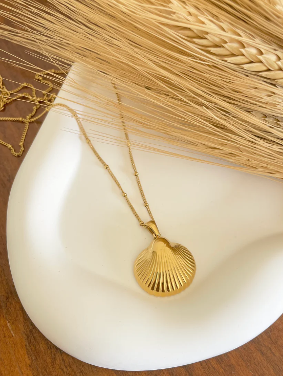 Beach Seashell Necklace (Bundle)